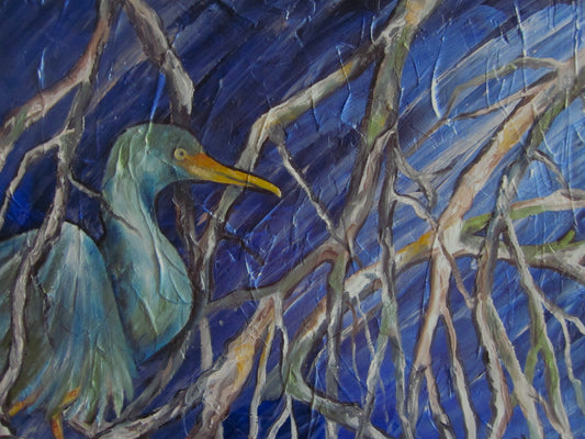 Egret Wading Under the Mangroves