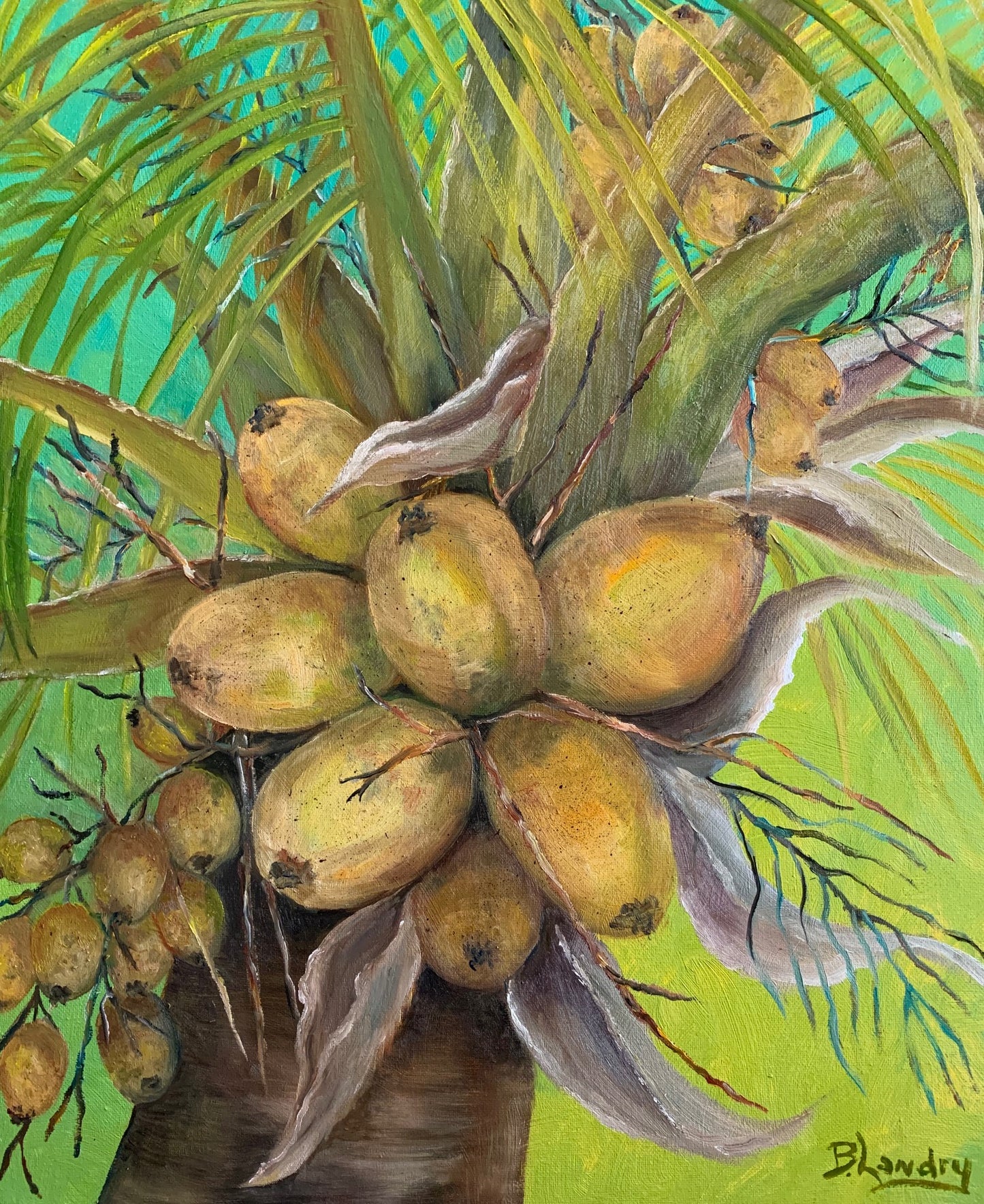 Coconut Palm