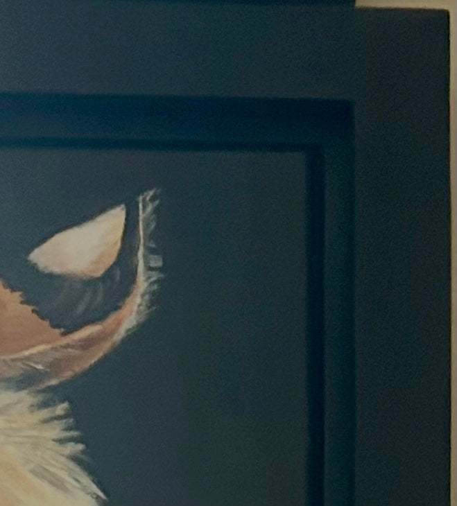 Eye of the Tiger