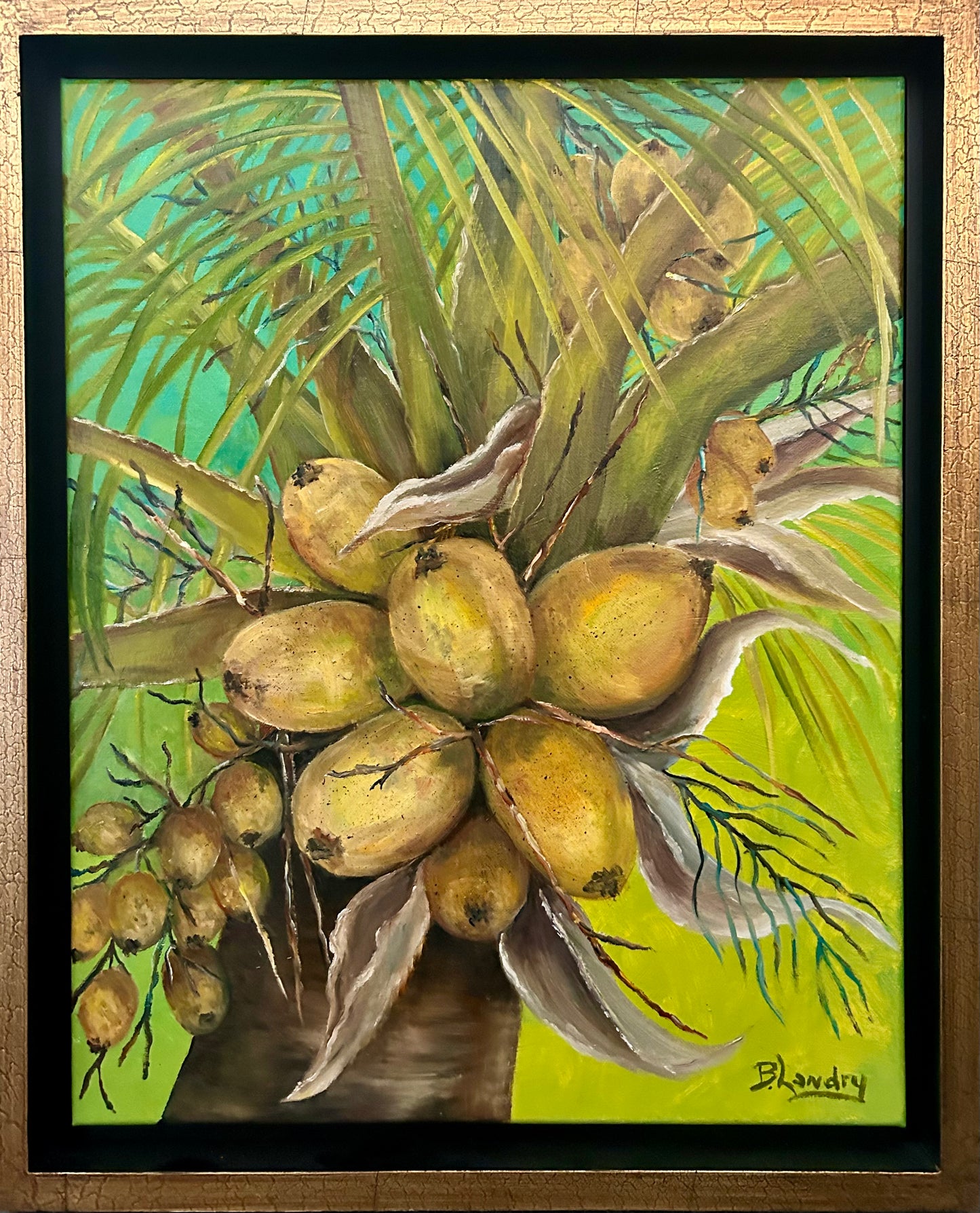 Coconut Palm