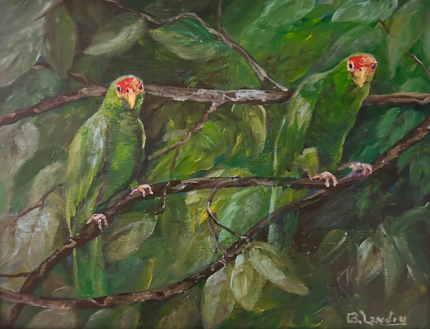 Green Parrots